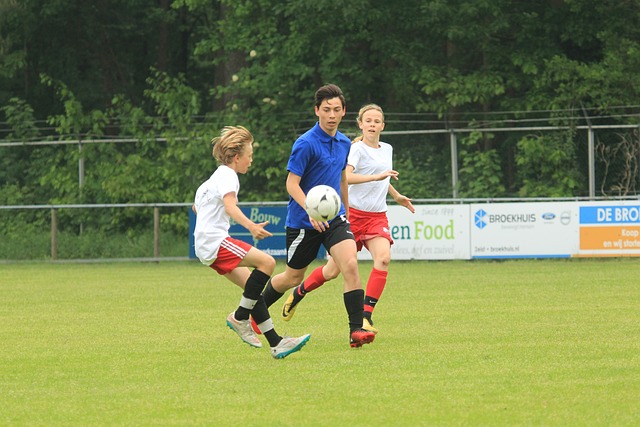 反东道主